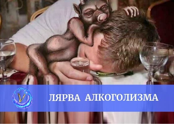 Лярвы: виды, признаки, как избавиться от лярв. Что такое лярвы?