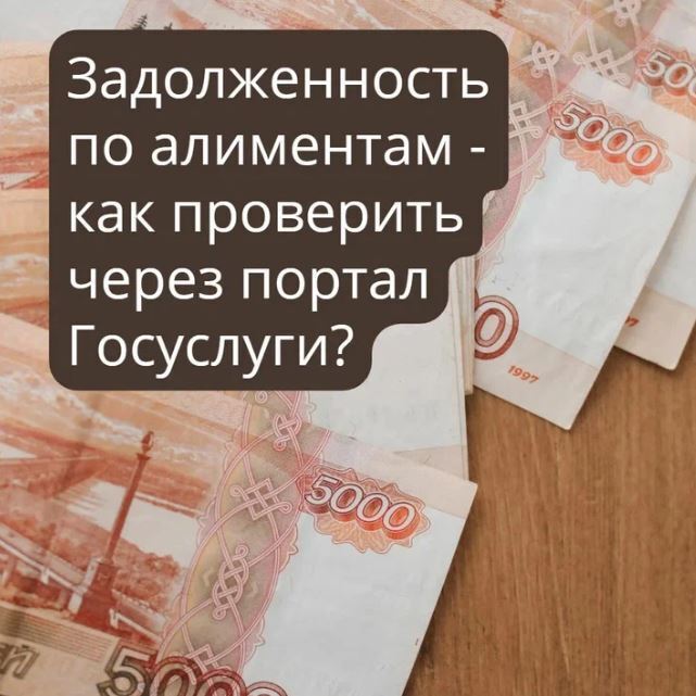 Как через портал Госуслуг проверить свою задолженность по алиментам