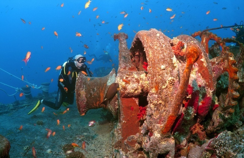 На дне красного моря