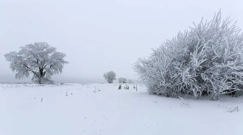 Февраль 17 года