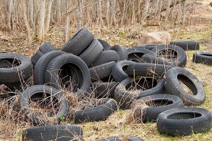 Можно ли выбрасывать компьютер в мусорку