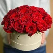 Светлана Лалетина, г. Владимир