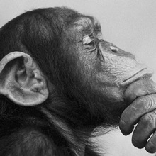 Николай, г. Кораблино