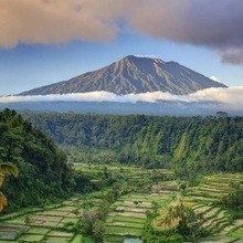 Алена, г. Москва