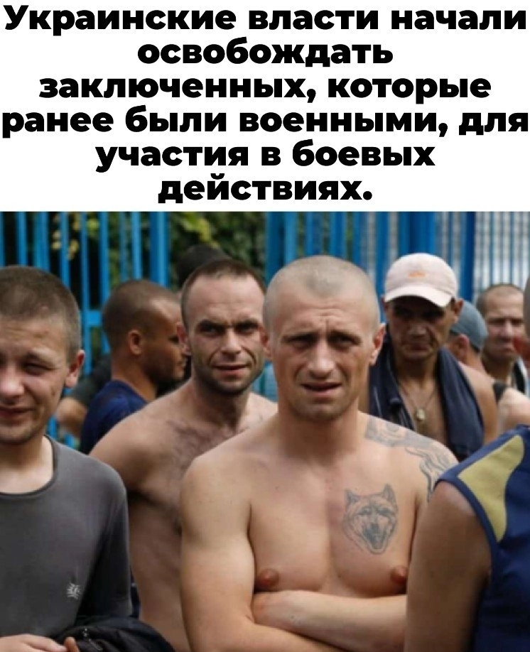 блатной уголовник. выпускают уголовников. выпускают уголовников. сергей филатов зэк. колония строгого режима.