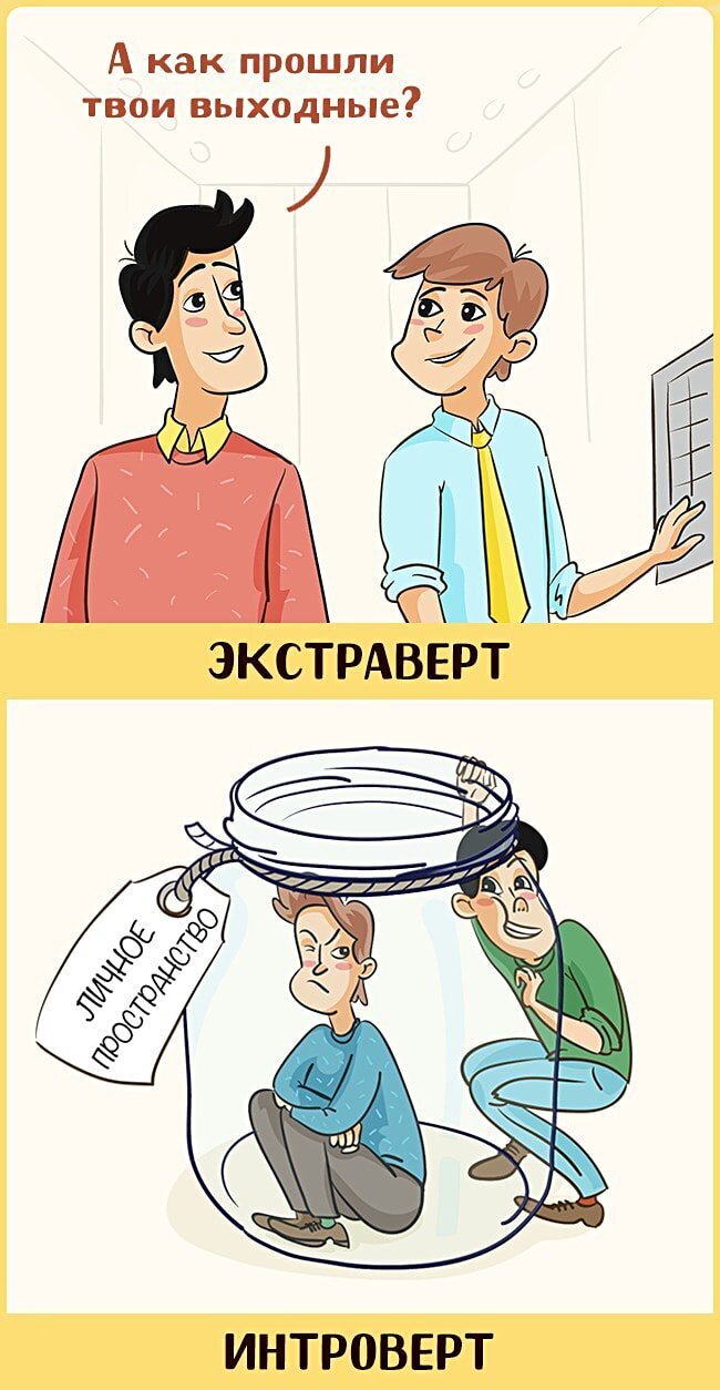 Кто Такой Экстраверт И Интроверт И Амбиверт