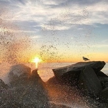 Юлия Михайловна, г. Сочи