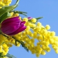 Наталья Николаевна, г. Санкт-Петербург