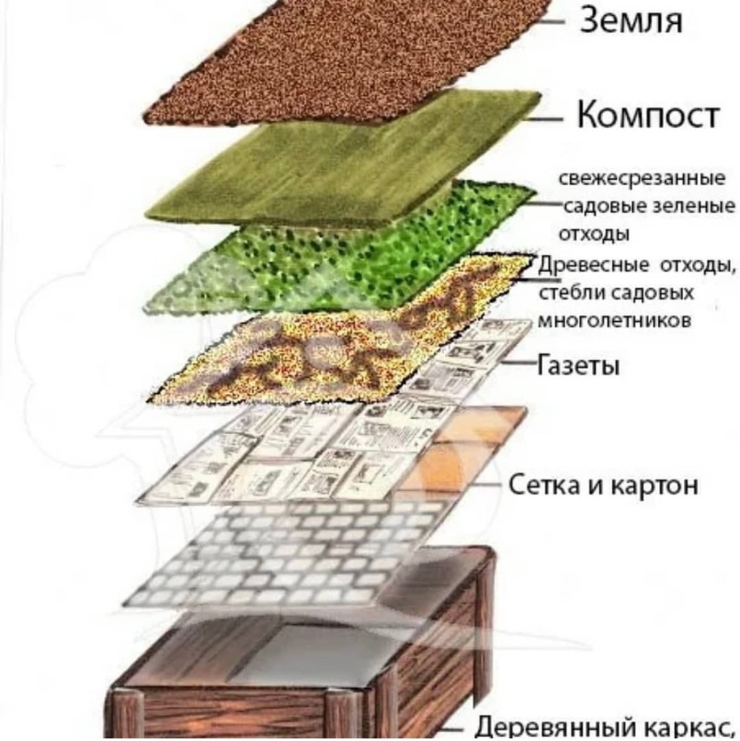 Высокие грядки схема