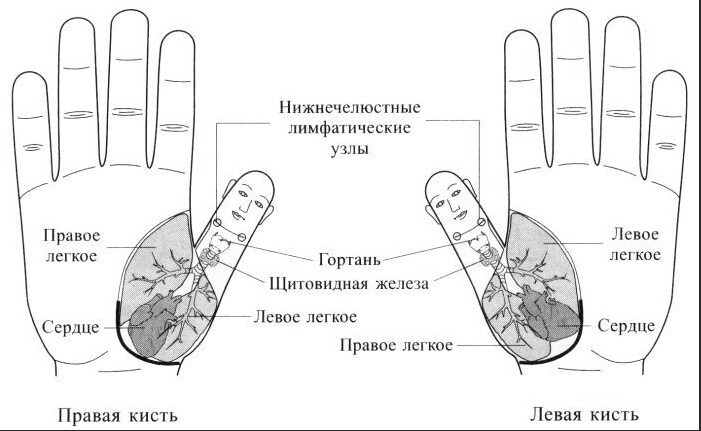 Схема правой руки