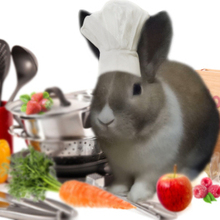 Foodamania, г. Нальчик