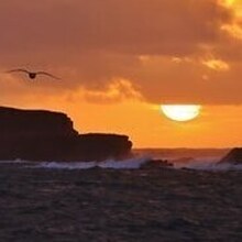  Осколков Антон Сергеевич, г. Усинск