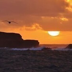 Осколков Антон Сергеевич