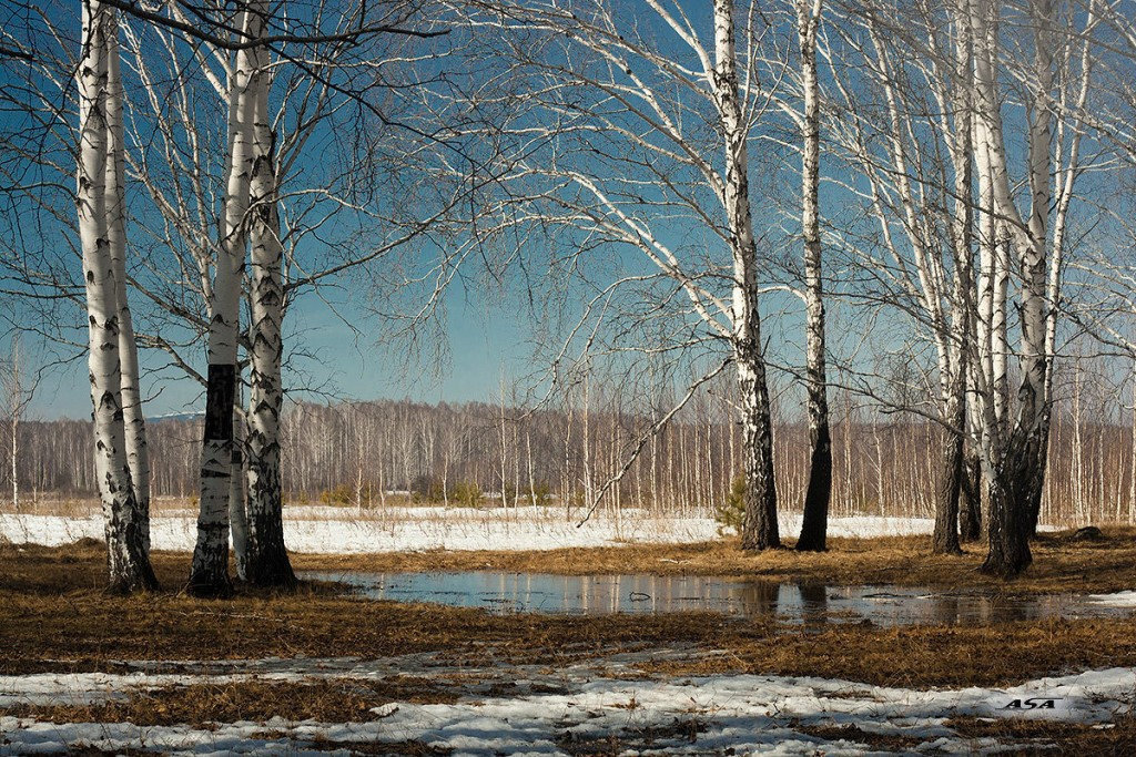 Фото весны в россии