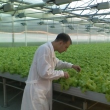 Агро Дмитрий, г. Москва