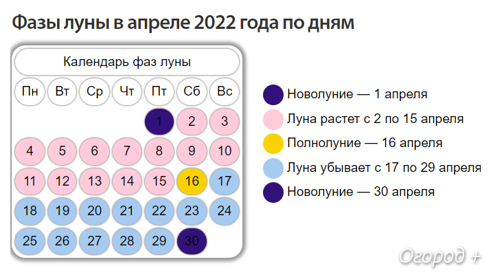 Благоприятные Дни Для Стрижки В Сентябре 2023