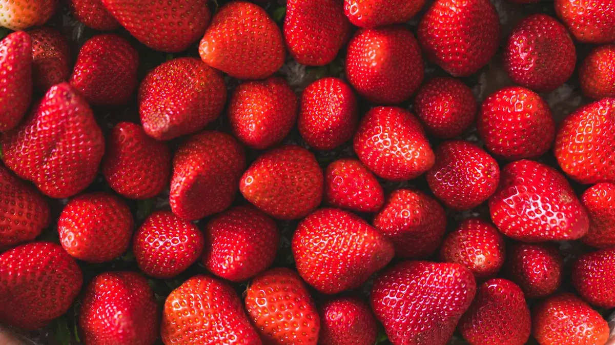 Лунный календарь клубники на апрель и май 2022: как высаживать ягоду кустиками. Благоприятные и неблагоприятные дни
