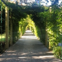 Екатерина Банул, г. Сочи