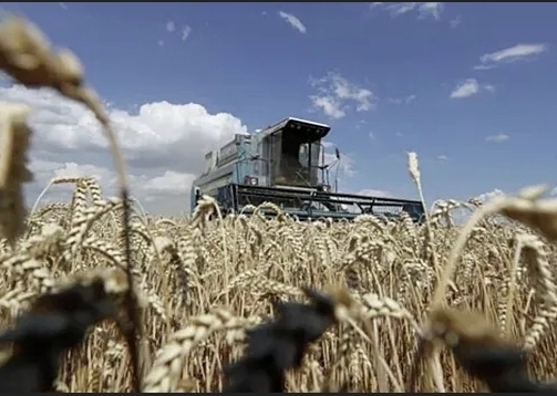 От немецкого информбюро.