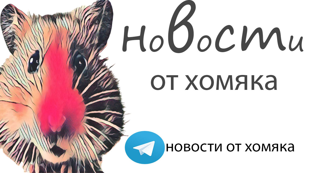 Полиция Шри-Ланки ввела 36-часовой комендантский час для подавления беспорядков - читать новости мира 