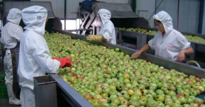 Продукты из Китая, которые вы не должны покупать.Опасно!