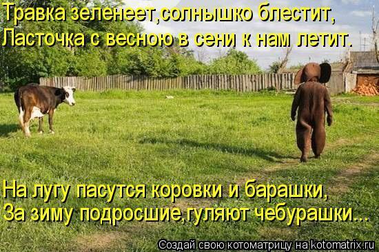 Без кошек жить нельзя на свете, нет!