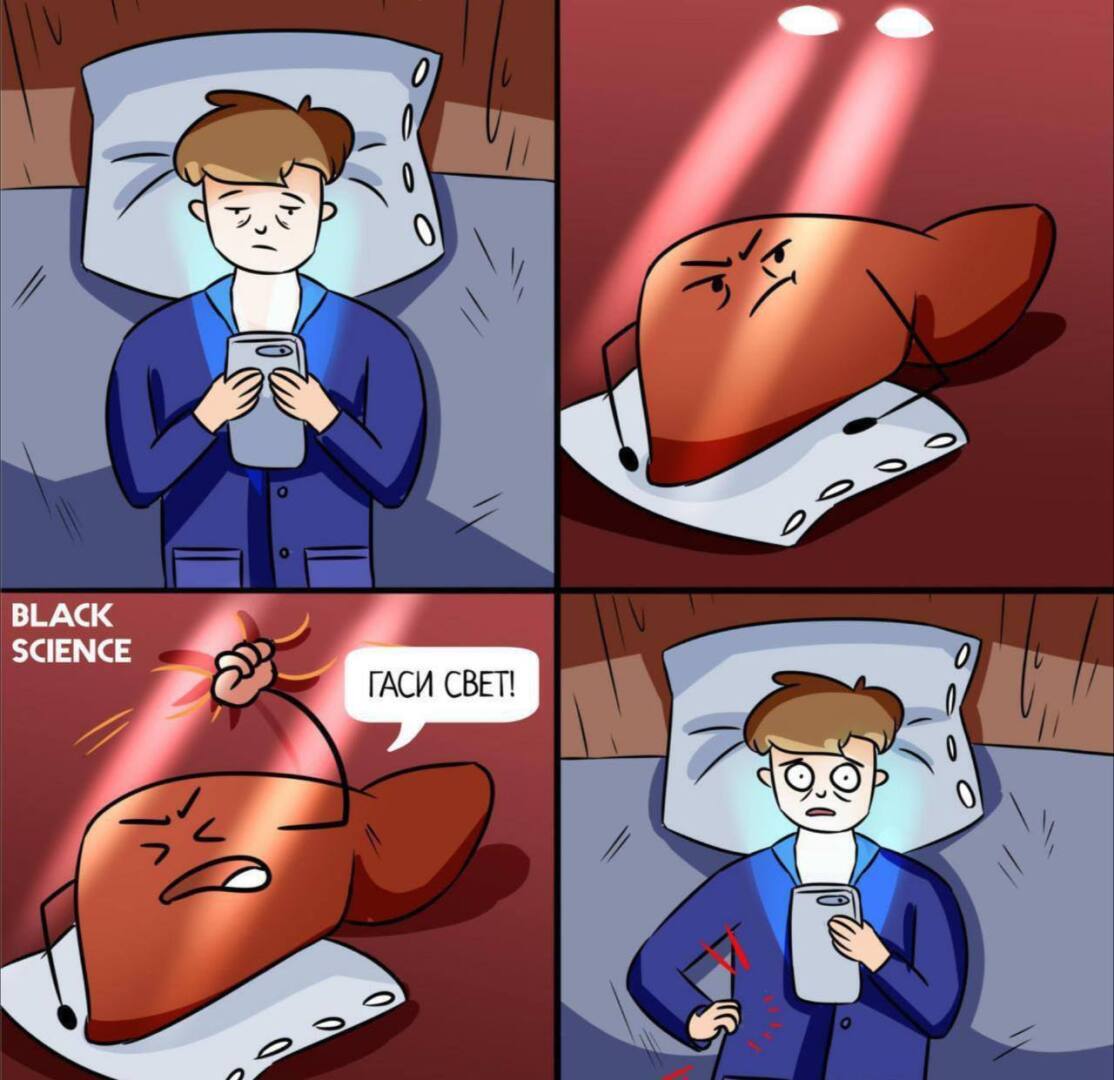 Печень может «видеть» свет