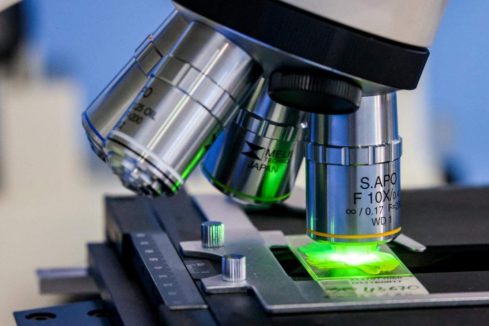 Съел рыбу — заработал рак: как микрочастицы пластика разрушают организм