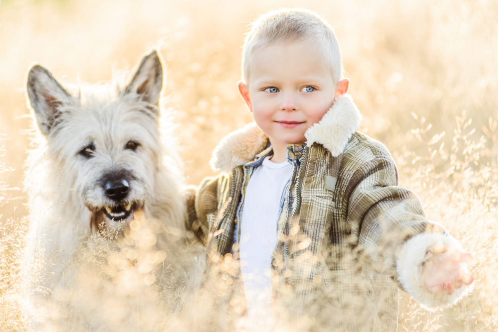 Витаминная собака