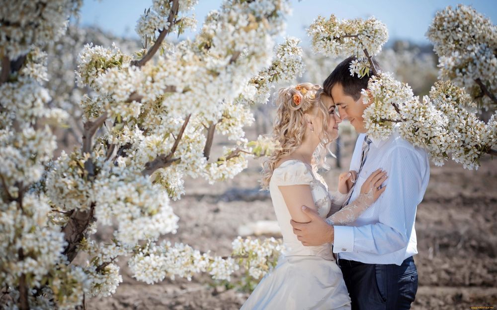 Семья.«О супружеской жизни».А почему женитьба в мае приносит неудачу?Каковы наилучшие методы превращения неудачи в удачу?Почему мне всегда не везет?