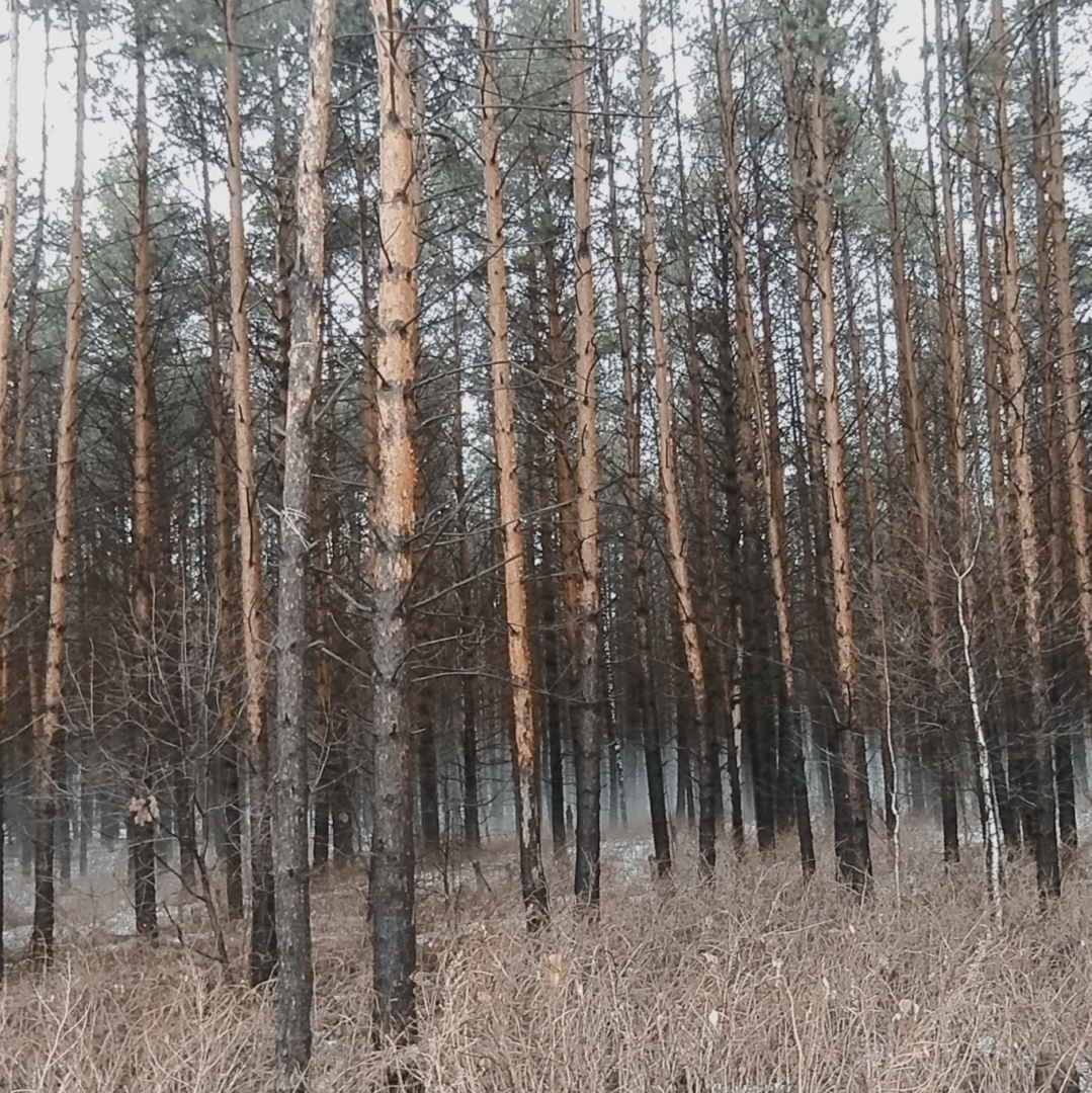 А в ваш регион пришла весна?