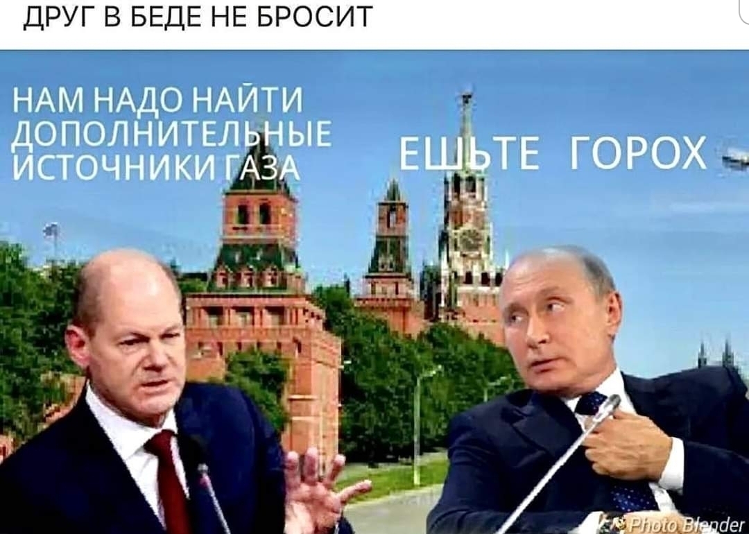 Друг всегда даст нужный совет…