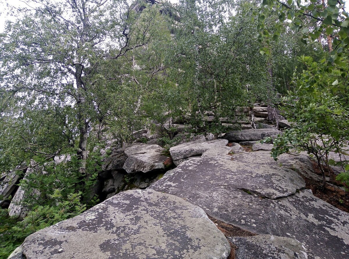 ВЕЛОПУТЕШЕСТВИЕ ОТ АРАКУЛЯ ДО КЫШТЫМА