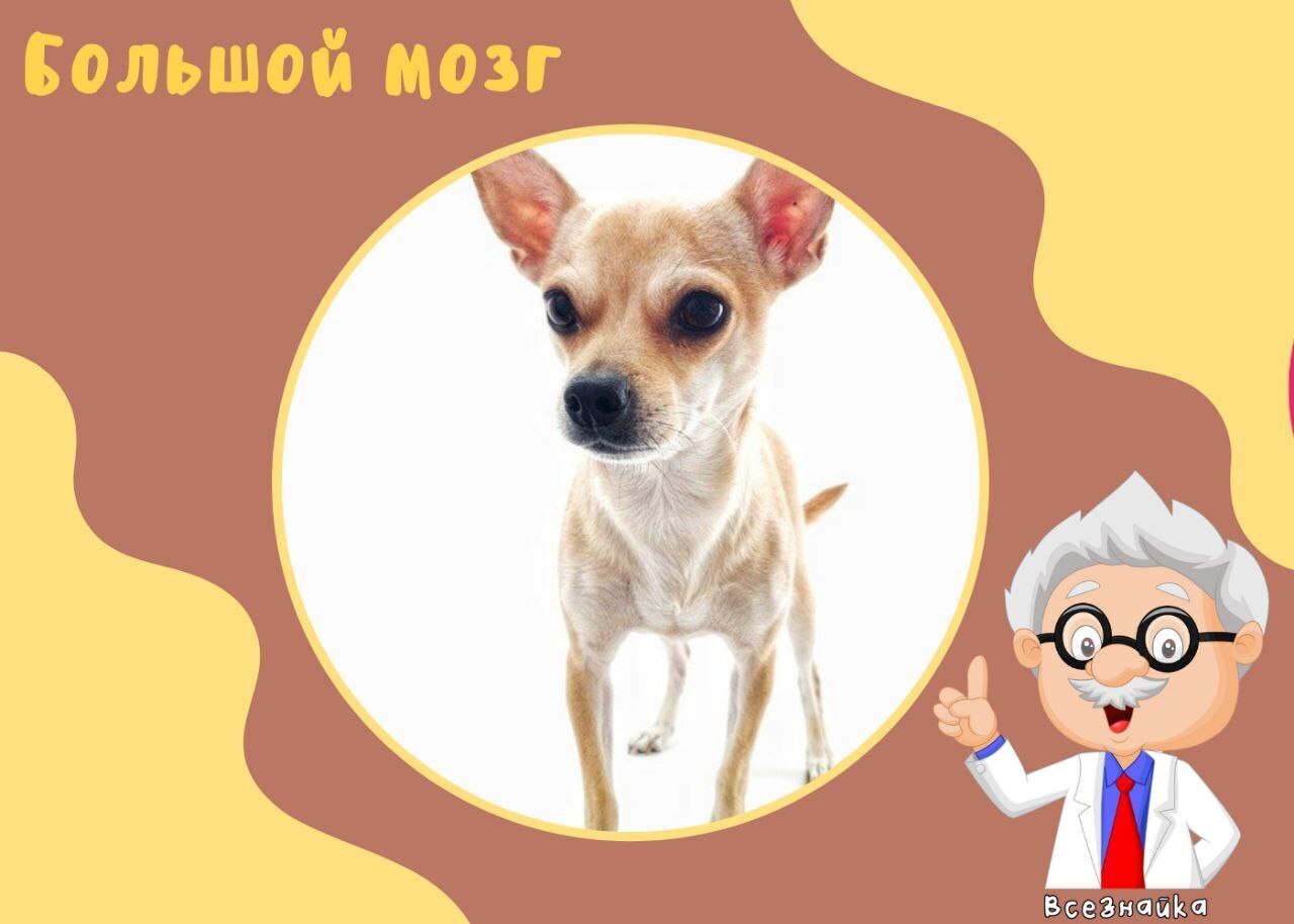 Вау, интересно узнать!