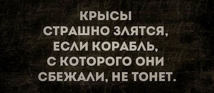 И улыбаясь ехидно, шалом, Крысы с России бегут напролом, Двадцать четвёртое им февраля, Точка отсчёта - сбежать с корабля... Лика Кугейко