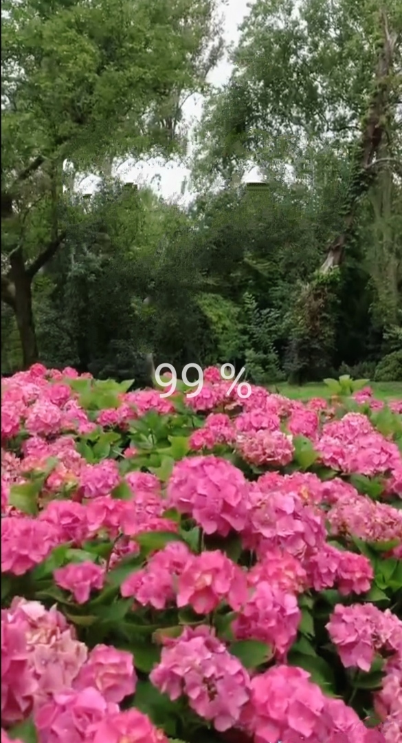 Как давно Вы баловали себя?