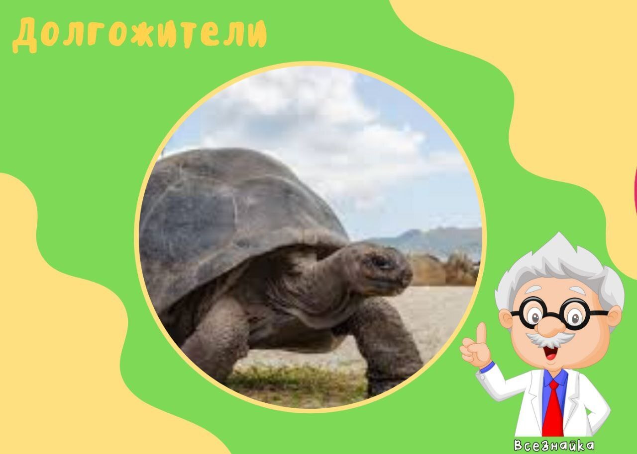 Удивительно,но факт!