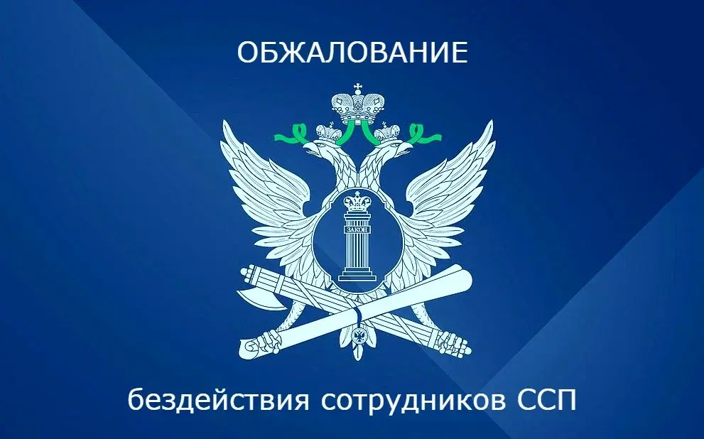 Взыскание убытков со службы судебных приставов за их бездействие