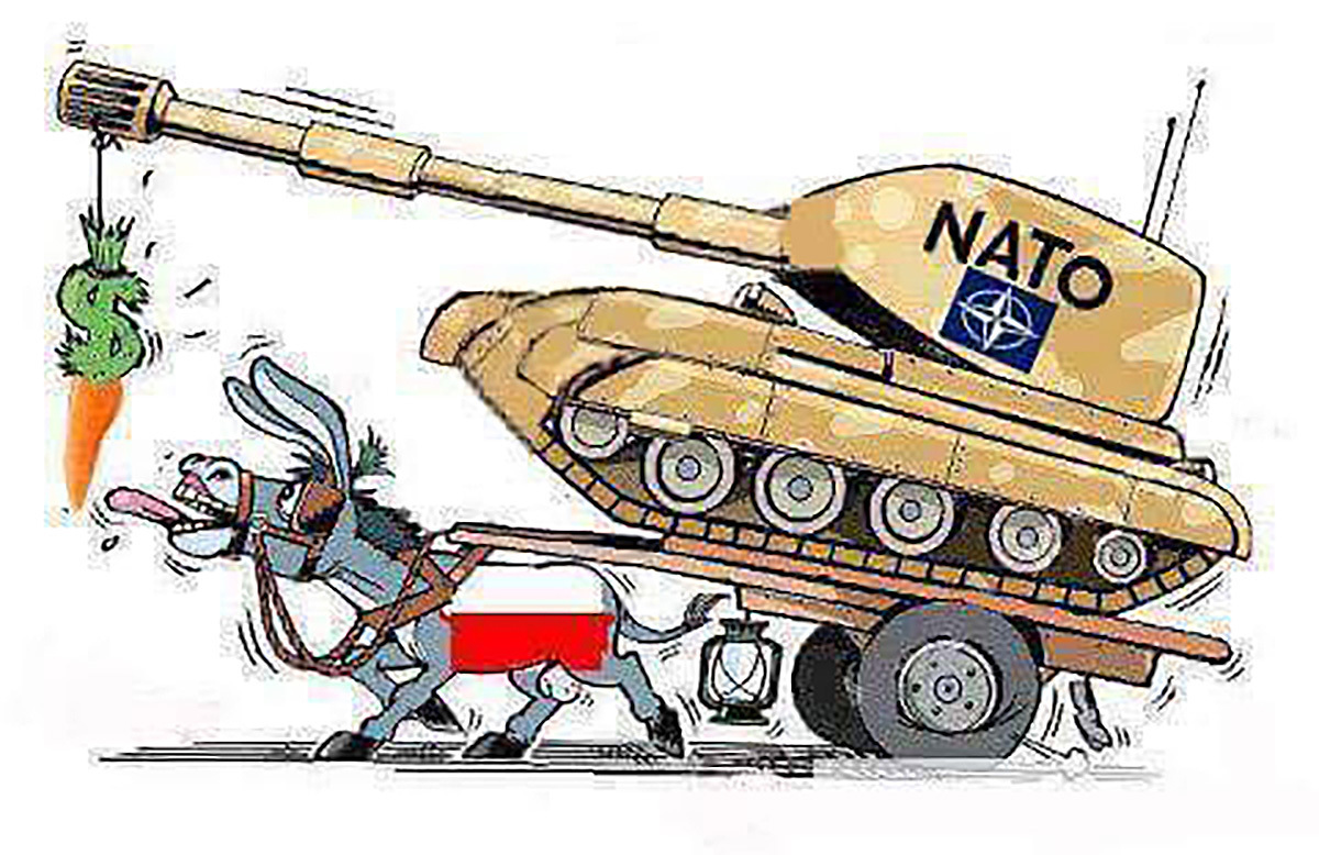 Почему поляки не могут выучить всего один урок: за приблудного пса хозяин не заступается.