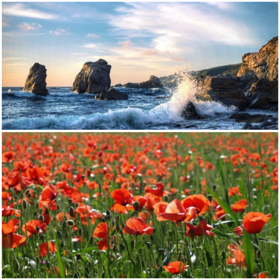 Единственное неподдельное это наша природа и это то место где мы охотно тратим свое время