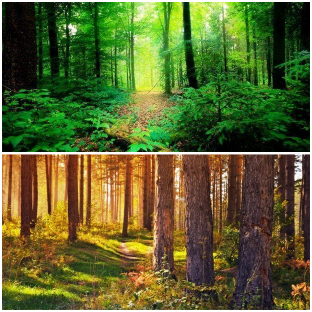 Единственное неподдельное это наша природа и это то место где мы охотно тратим свое время