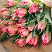 Динара, г. Казань