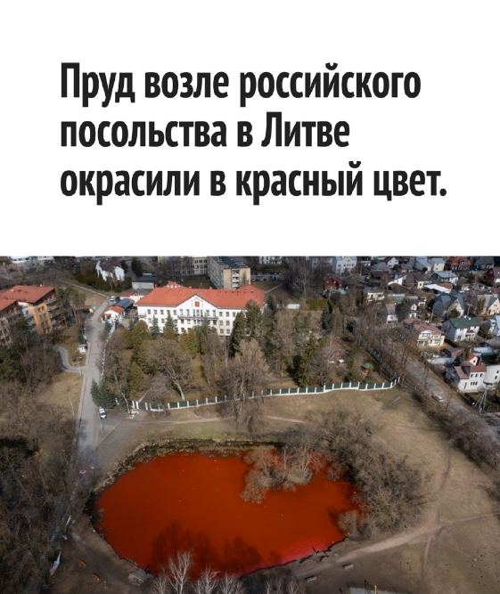 "Кровавая" акция протеста в Литве: 400 килограмм красной краски, кроваво-красный пруд и "несмертельный" заплыв...