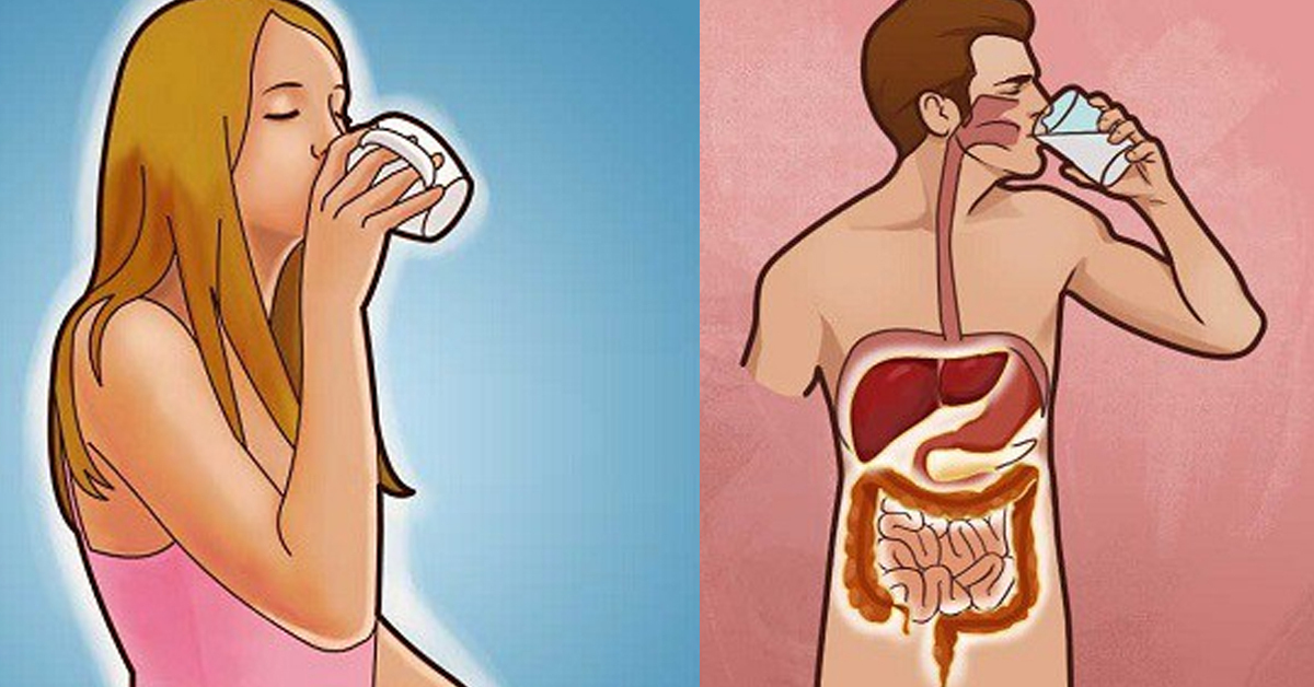 Можно ли вспотеть ТАК, чтобы организм потерял ВСЮ ЖИДКОСТЬ?
