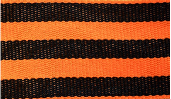 В Молдавии зарегистрирован закон о запрете георгиевской ленты