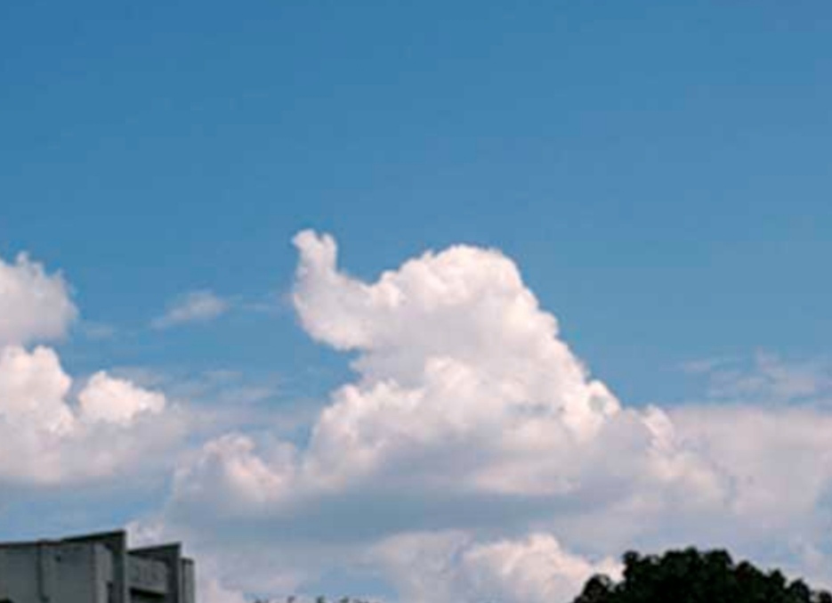 Все мое внимание было обращено на облака. Облако в виде слона. Облако в форме животного. Облако в виде коровы. На что похожи облака.