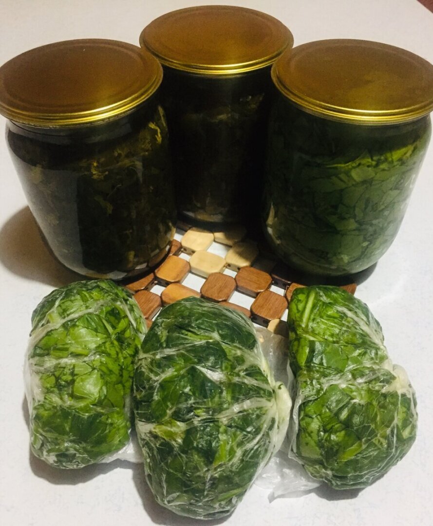 Заготовка щавеля на зиму 3-мя способами