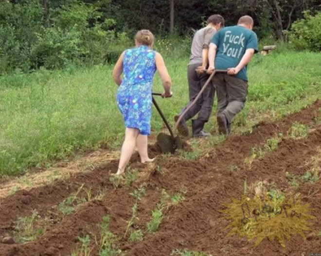 Продление майских праздников в 2022 году. Как увеличение числа нерабочих дней в сезон посадочных работ может отразиться на благосостоянии россиян?