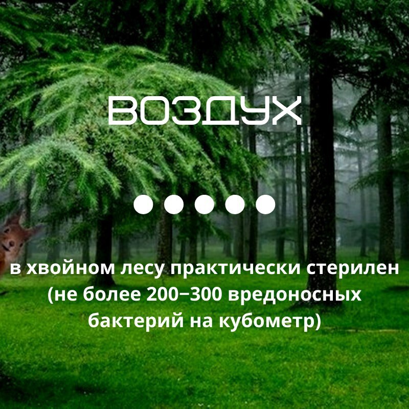 ОЧЕВИДНОЕ-НЕВЕРОЯТНОЕ