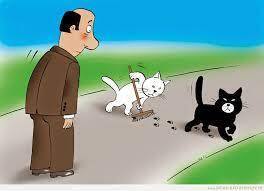 Вера в суеверия-признак отсутствия настоящей веры.